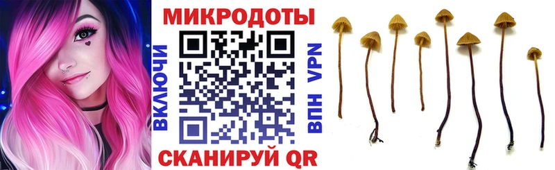 Галлюциногенные грибы Psilocybe Ртищево